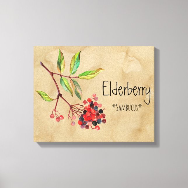 Magic Flowers Elderberry 16.14' x 12.86' Canva Canvastryck (Framsida)