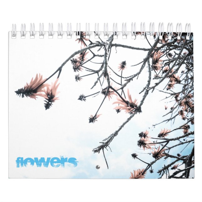 Magic Flowers Kalender (Omslag)