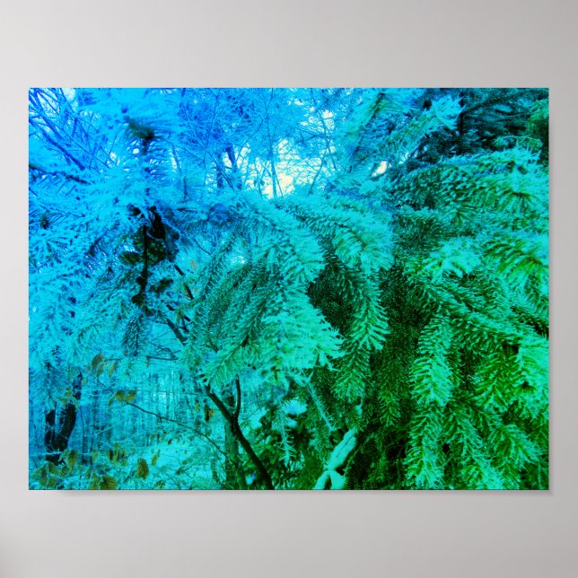 Magic Frozen Fir Träd Twigs in a Winter Forest Poster (Framsidan)