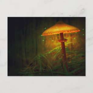Magic glowing svamp vykort