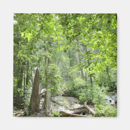 Magic Grönt Forest Scene. Magnet