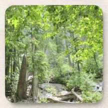 Magic Grönt Forest Scene.