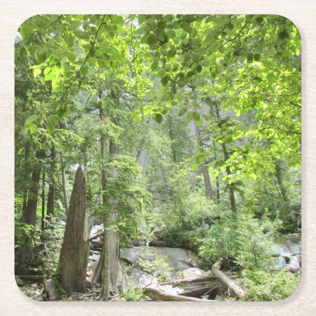 Magic Grönt Forest Scene. Underlägg Papper Kvadrat (Framsidan)