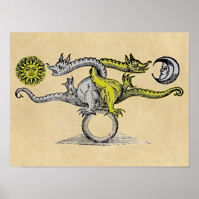 Magic Guld & Silver Dragons Poster (Framsidan)