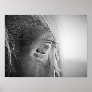 Magic Horse Black and white Poster