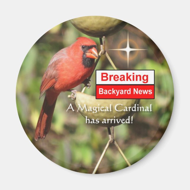 Magic Male Cardinal Magnet (Framsidan)