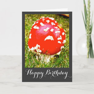 Magic Mushroom Grattis på födelsedagen Card Kort