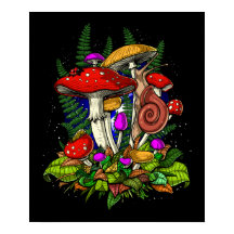 Magic Mushrum Fungi