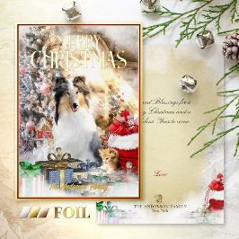 Magic Pets jul, Blue Merle Collie & Kitten -