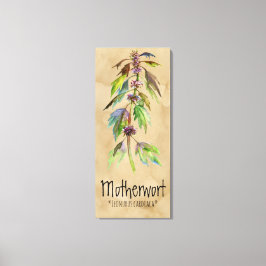 Magic Plants Motherwort 18.30' x 41.73'' Canvas