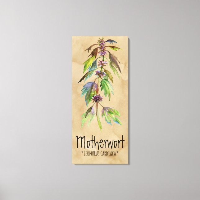 Magic Plants Motherwort 18.30' x 41.73'' Canvas (Framsida)
