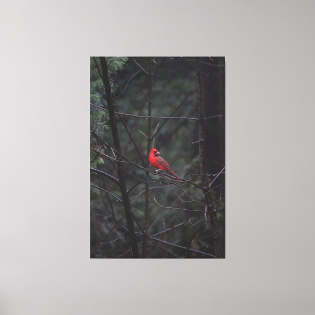 Magic Red Canvastryck (Framsida)
