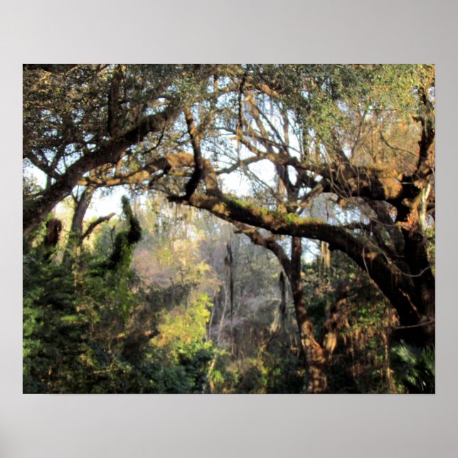 Magic Skogen Poster (Framsidan)