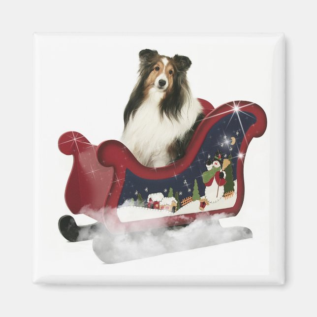 Magic Sleigh Sheltie Magnet (Framsidan)