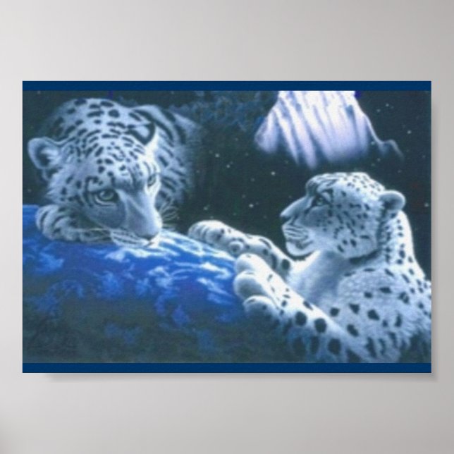 Magic Tigers Poster (Framsidan)