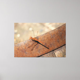 Magic Tittar Dragonfly Canvastryck