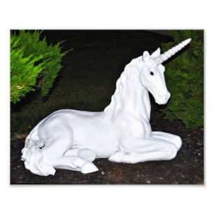 Magic Unicorn Fototryck