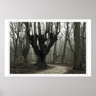 Magic Wood Poster
