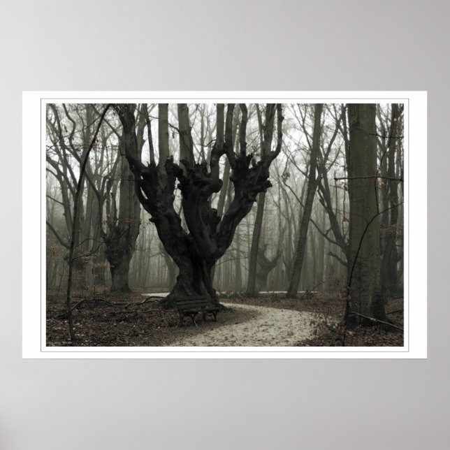 Magic Wood Poster (Framsidan)