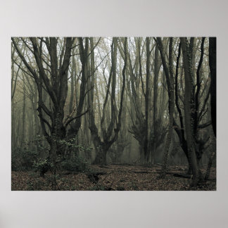 Magic Wood Poster