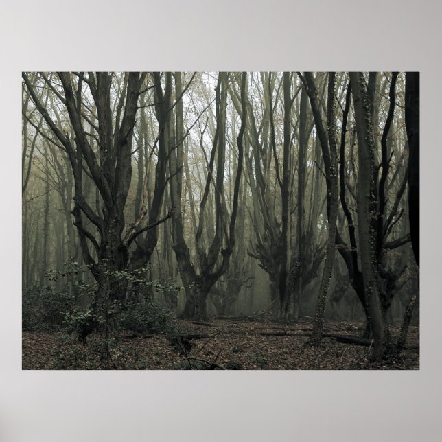 Magic Wood Poster (Framsidan)