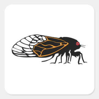 Magicada - Cicada - Cigale - Summer Buzz Fyrkantigt Klistermärke