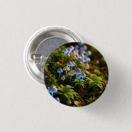 Magical Bioluminescent Fungi - Deep Forest Knapp