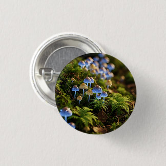 Magical Bioluminescent Fungi - Deep Forest Knapp