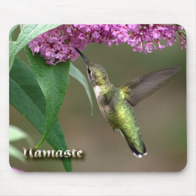 Magical neonRuby-hals Hummingbird Mousepad Musmatta (Framsidan)