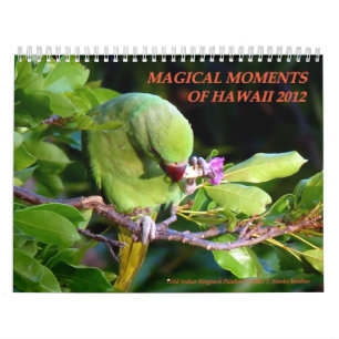 Magical ögonblick av Hawaii 2012 Kalender