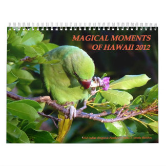 Magical ögonblick av Hawaii 2012 Kalender