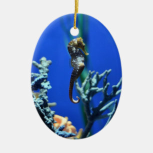 Magical Seahorse Julgransprydnad Keramik