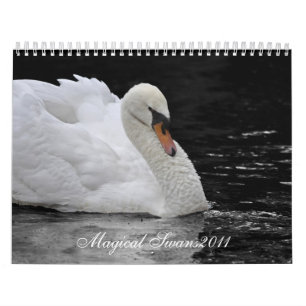 Magical svanar 2011 kalender