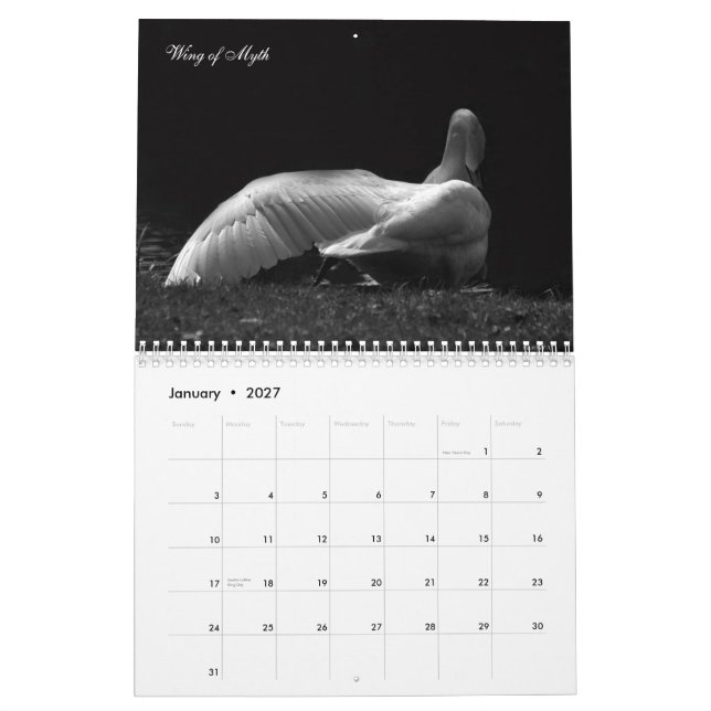 Magical svanar 2011 kalender (Jan 2027)