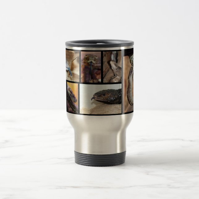 Magies reptilar resemugg (Center)