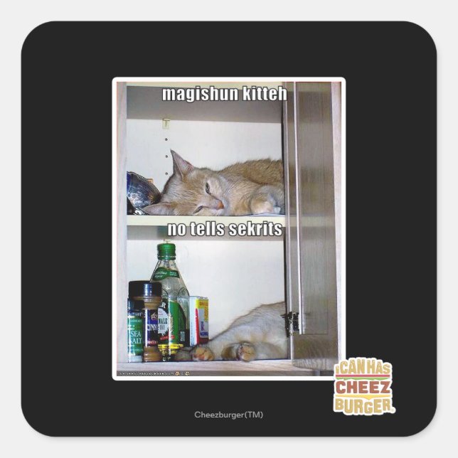 Magishun Kitteh Fyrkantigt Klistermärke (Framsida)