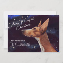 Magisk jultomte Hund Art Whimsical