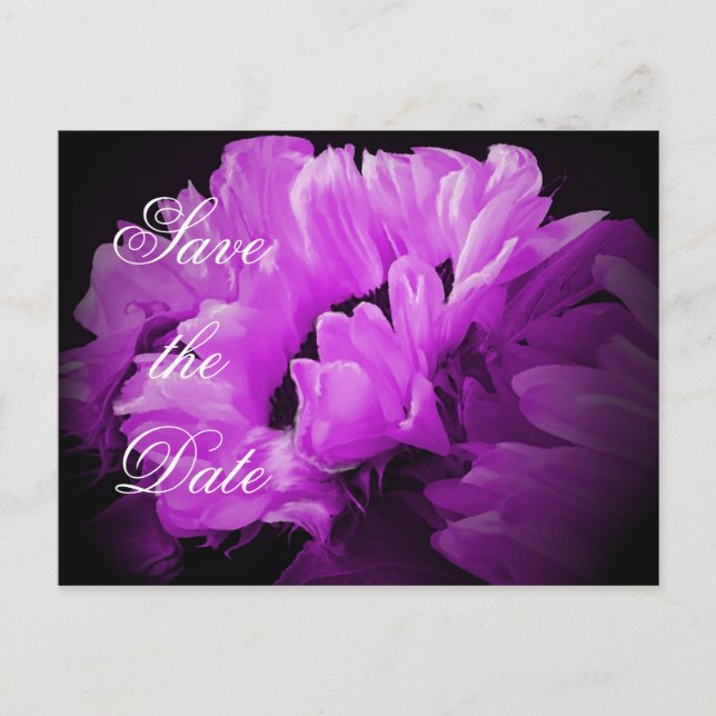 Magisk Solros Rädda Datum Postkort Meddelande Vykort (Framsida)