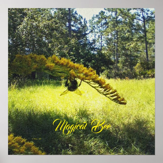 Magiska bin, Poster bin, Poster bin och blommor. (Framsidan)