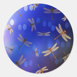 Magiska Dragonflies på Blue. Runt Klistermärke