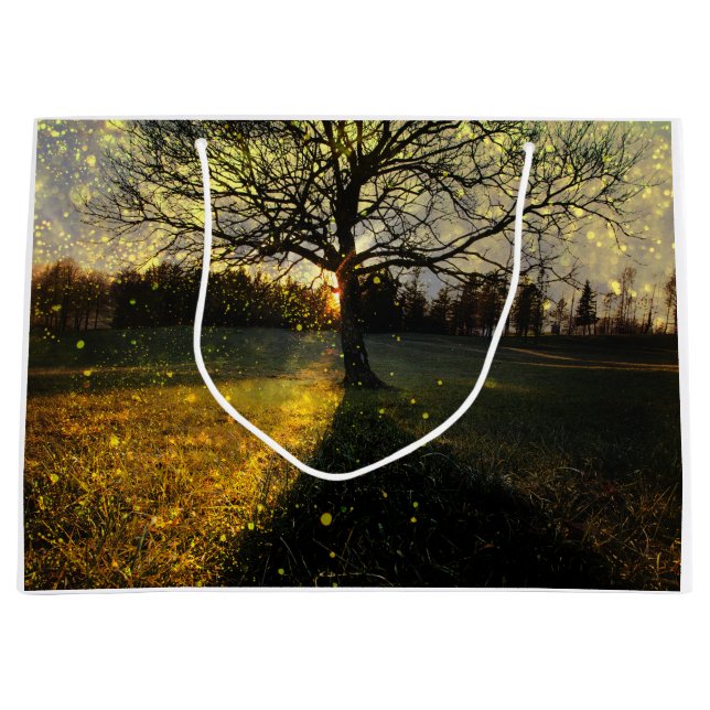 Magiska fireflies drömmande landskap (Framsidan)