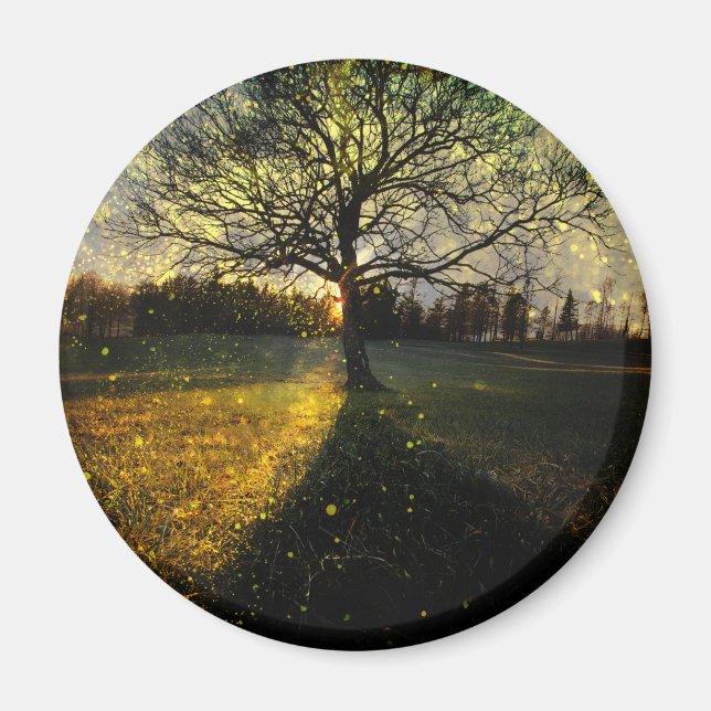 Magiska fireflies drömmande landskap magnet (Framsidan)