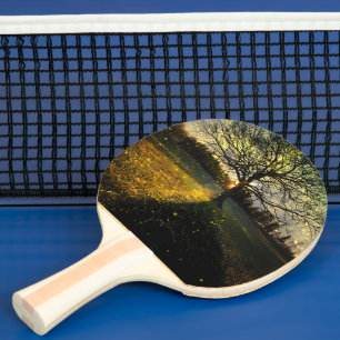 Magiska fireflies drömmande landskap pingisracket