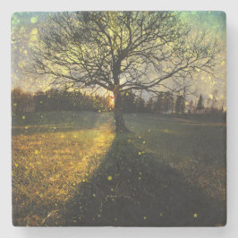 Magiska fireflies drömmande landskap stenunderlägg