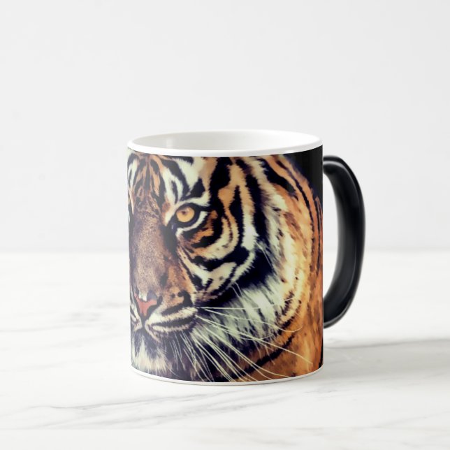 Magiska morfingtigern Mugg (Framsida höger)