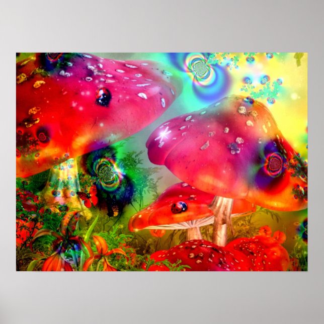 Magiska svampar - Poster (Framsidan)