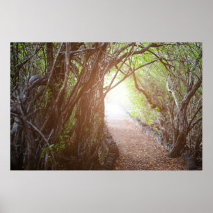 Magiskt skog på morgonen poster