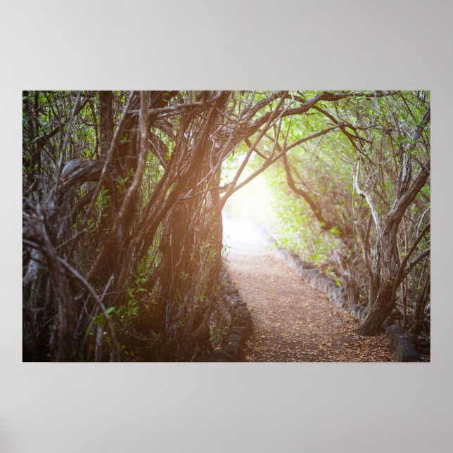 Magiskt skog på morgonen poster (Framsidan)