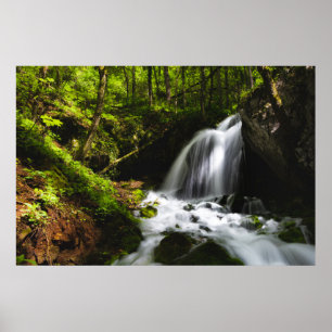 Magiskt vattenfall i grönt-skog poster