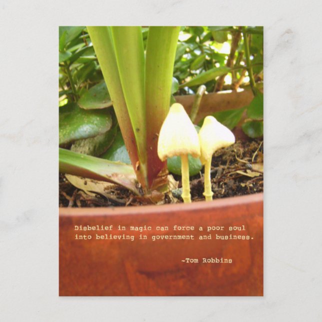 Magiskt vykort (Framsida)